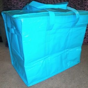 Two Insulated Food Delivery Bag Meal Turquoise